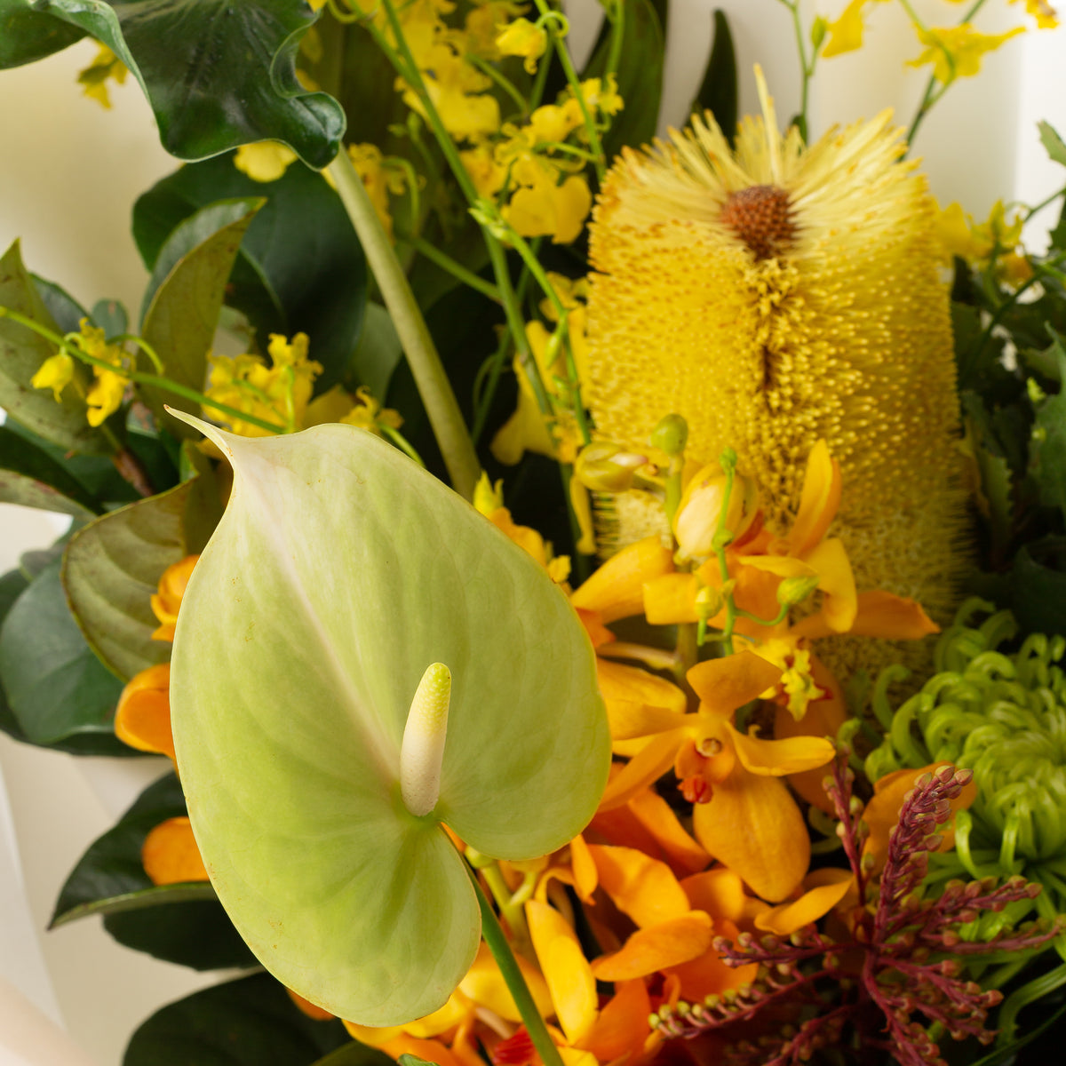 Lemon Sorbet Floral Arrangement Maroubra Flower Delivery (02) 9314 0341 Mary K Floral Design